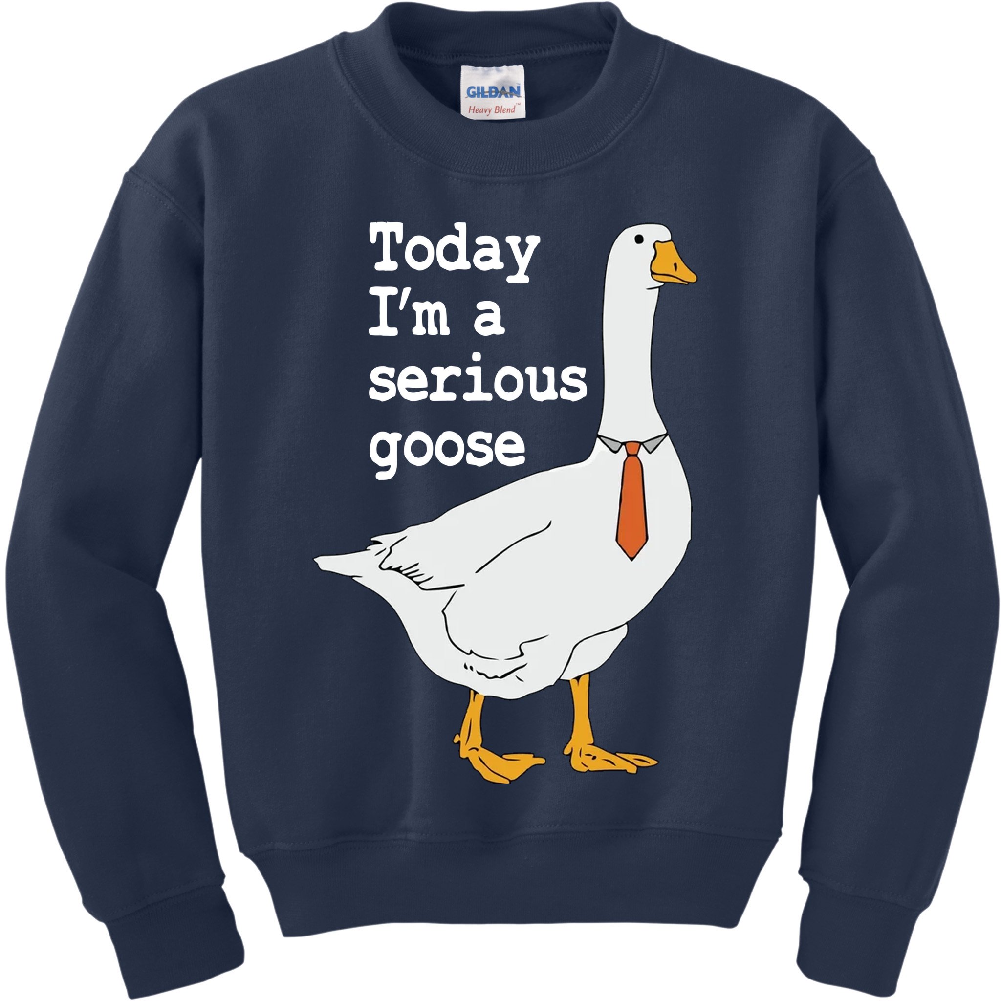 Today Im A Serious Goose Silly Humor Kids Sweatshirt