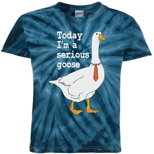 Today Im A Serious Goose Silly Humor Kids Tie-Dye T-Shirt