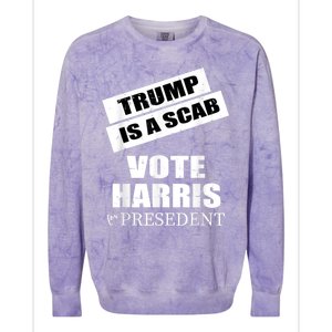 Trump Is A Scab Vote Kamala Harris 2024 Colorblast Crewneck Sweatshirt