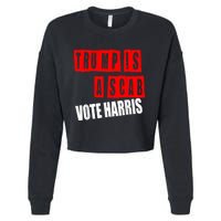 Trump Is A Scab Vote Kamala Harris 2024 Cropped Pullover Crew