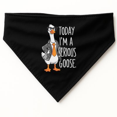 Today IM A Serious Goose Wear Glasses Vest USA-Made Doggie Bandana