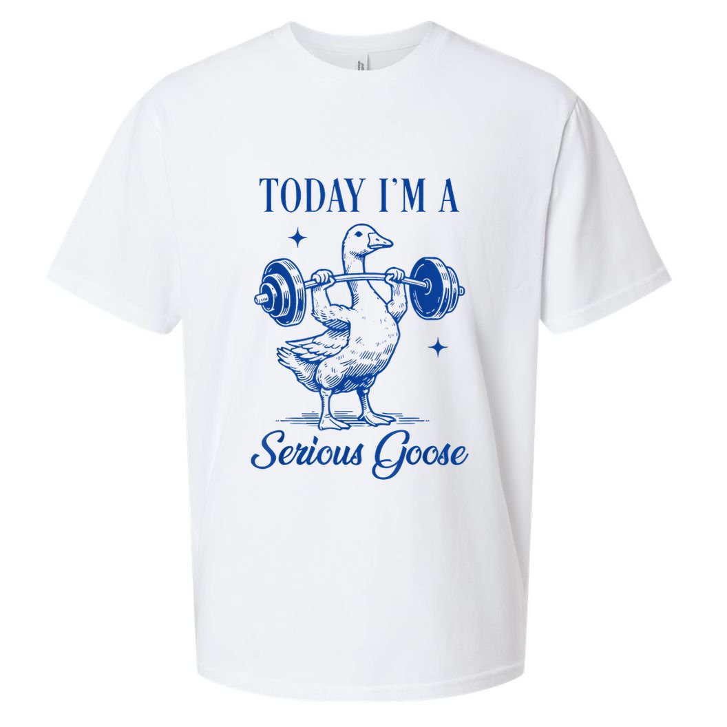 Today IM A Serious Goose Funny Lifting Weights Gym Fitness Sueded Cloud Jersey T-Shirt