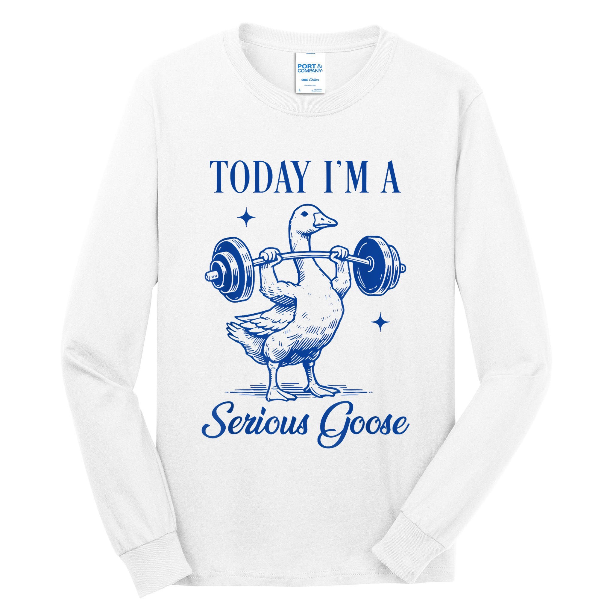 Today IM A Serious Goose Funny Lifting Weights Gym Fitness Tall Long Sleeve T-Shirt