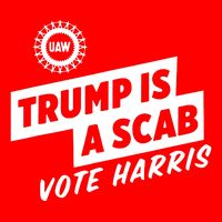 Trump Is A Scab Vote Harris T-Shirt