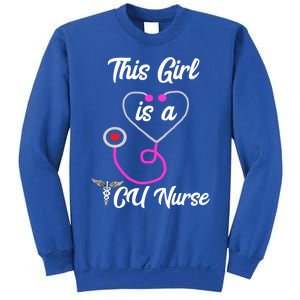 This Is A Icu Nurse Neonatologist Newborn Scrub Nursing Gift Sweatshirt