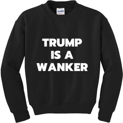 Trump Is A Wanker Kids Sweatshirt