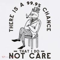There Is A 99% Chance That I Do Not Care Funny Wool Snapback Cap