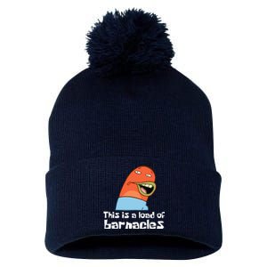 This Is A Load Of Barnacles Funny Saying Quote Pom Pom 12in Knit Beanie