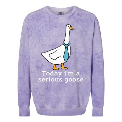 Today IM A Serious Goose Funny Silly Goose Colorblast Crewneck Sweatshirt