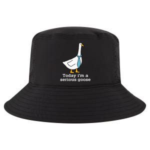 Today IM A Serious Goose Funny Silly Goose Cool Comfort Performance Bucket Hat