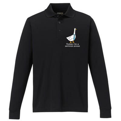 Today IM A Serious Goose Funny Silly Goose Performance Long Sleeve Polo