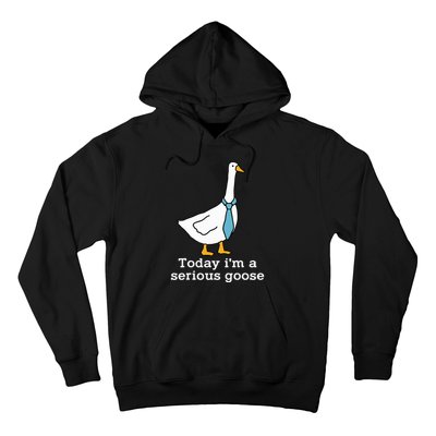 Today IM A Serious Goose Funny Silly Goose Hoodie