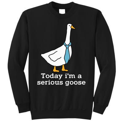 Today IM A Serious Goose Funny Silly Goose Sweatshirt