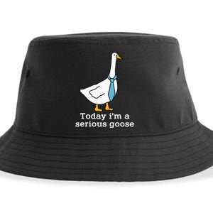 Today IM A Serious Goose Funny Silly Goose Sustainable Bucket Hat