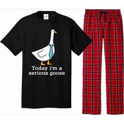 Today IM A Serious Goose Funny Silly Goose Pajama Set