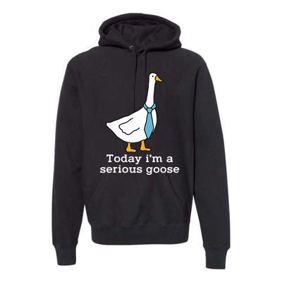 Today IM A Serious Goose Funny Silly Goose Premium Hoodie