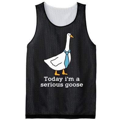 Today IM A Serious Goose Funny Silly Goose Mesh Reversible Basketball Jersey Tank