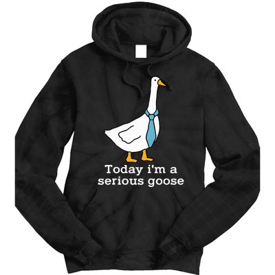 Today IM A Serious Goose Funny Silly Goose Tie Dye Hoodie