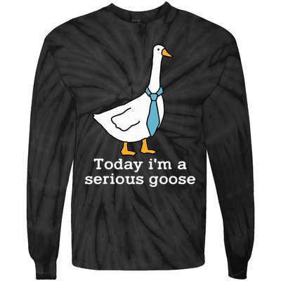 Today IM A Serious Goose Funny Silly Goose Tie-Dye Long Sleeve Shirt