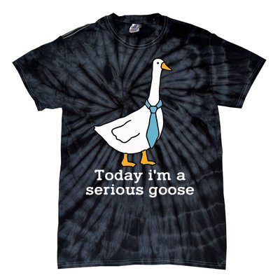 Today IM A Serious Goose Funny Silly Goose Tie-Dye T-Shirt