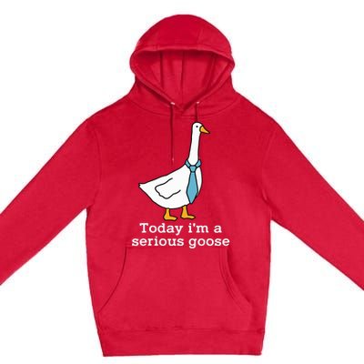 Today IM A Serious Goose Funny Silly Goose Premium Pullover Hoodie