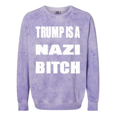 Trump Is A Nazi Bitch Colorblast Crewneck Sweatshirt