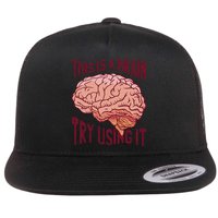 This Is A Brain Try Using It Funny Flat Bill Trucker Hat