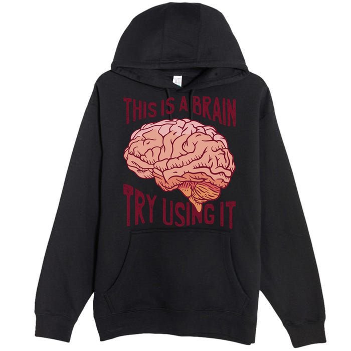 This Is A Brain Try Using It Funny Premium Pullover Hoodie