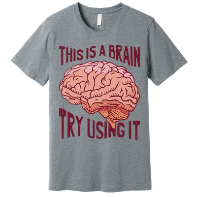 This Is A Brain Try Using It Funny Premium T-Shirt