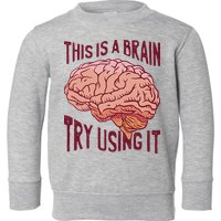 This Is A Brain Try Using It Funny Toddler Sweatshirt