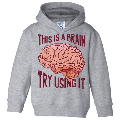 This Is A Brain Try Using It Funny Toddler Hoodie