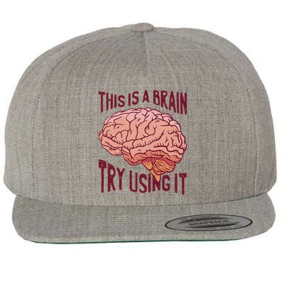 This Is A Brain Try Using It Funny Wool Snapback Cap