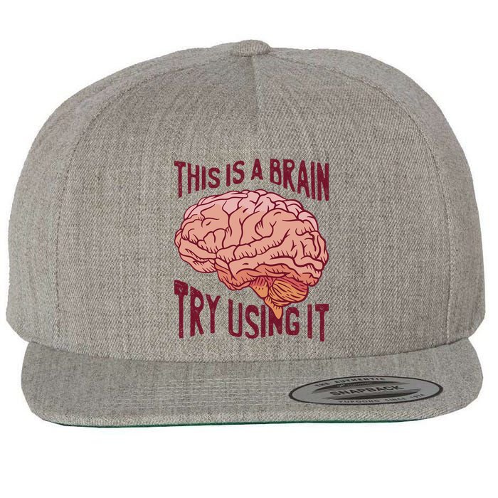 This Is A Brain Try Using It Funny Wool Snapback Cap