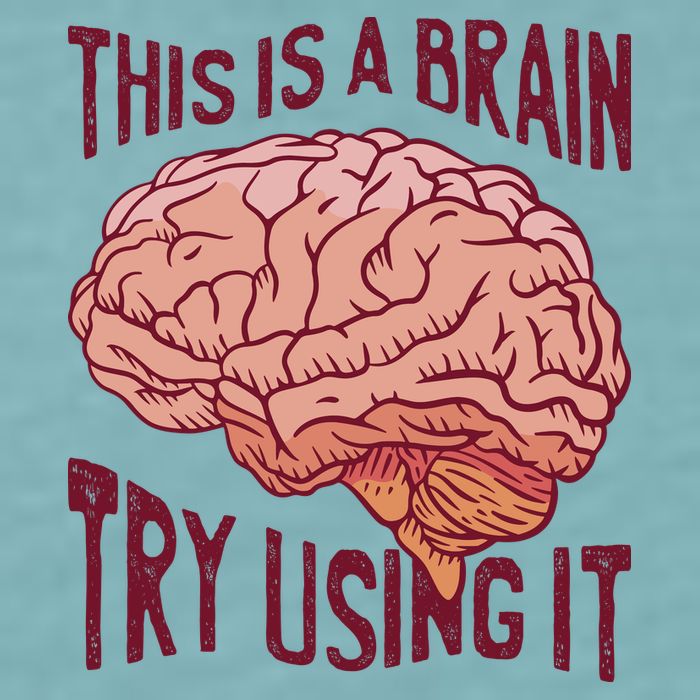 This Is A Brain Try Using It Funny Sueded Cloud Jersey T-Shirt