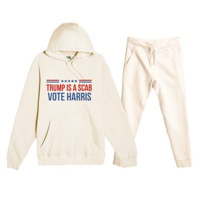 Trump Is A Scab Vote Harris 2024 Premium Hooded Sweatsuit Set