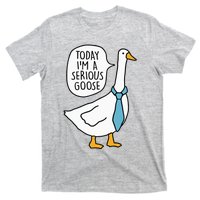 Today IM A Serious Goose Funny Silly Goose T-Shirt