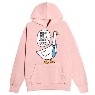 Today IM A Serious Goose Funny Silly Goose Urban Pullover Hoodie