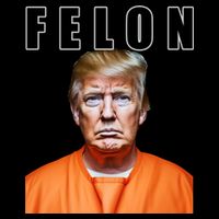 Trump Is A Felon City Backpack