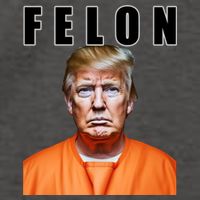 Trump Is A Felon Vector Backpack