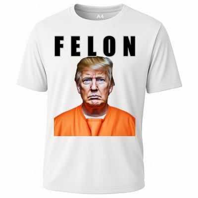 Trump Is A Felon Performance Shirt
