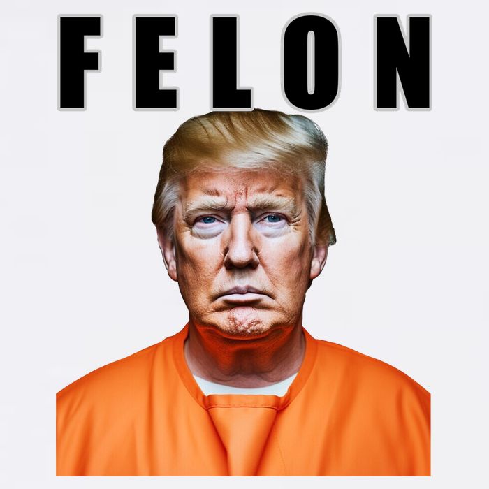 Trump Is A Felon Sustainable Bucket Hat