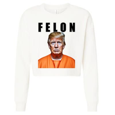 Trump Is A Felon Cropped Pullover Crew