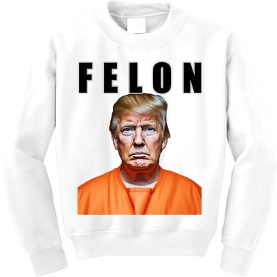 Trump Is A Felon Kids Sweatshirt