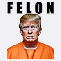 Trump Is A Felon Kids T-Shirt