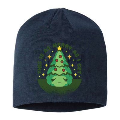 This Is As Merry As I Get AntiChristmas Sustainable Beanie