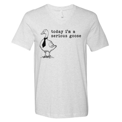 Today IM A Serious Goose Funny Humor Design V-Neck T-Shirt