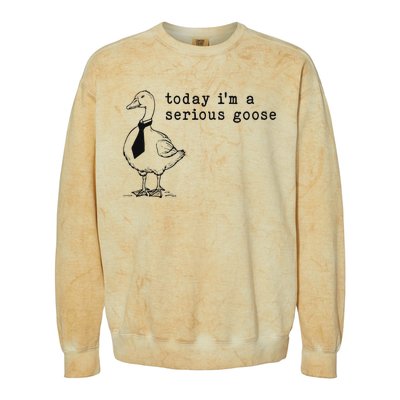 Today IM A Serious Goose Funny Humor Design Colorblast Crewneck Sweatshirt