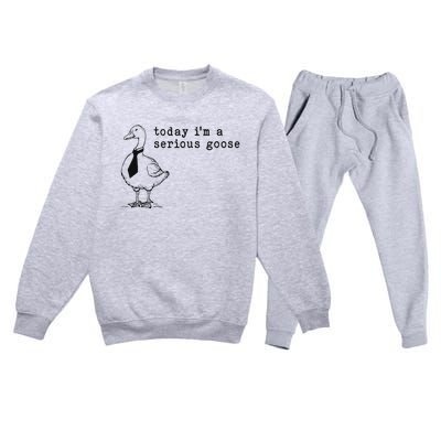 Today IM A Serious Goose Funny Humor Design Premium Crewneck Sweatsuit Set