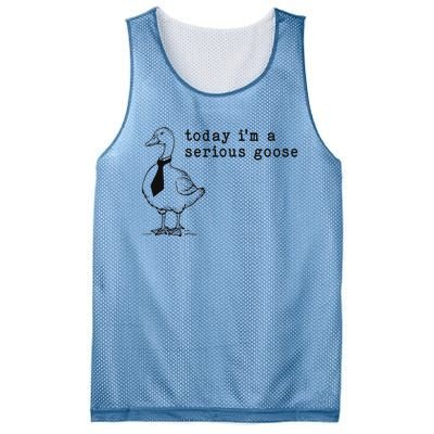 Today IM A Serious Goose Funny Humor Design Mesh Reversible Basketball Jersey Tank