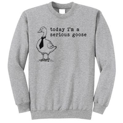 Today IM A Serious Goose Funny Humor Design Sweatshirt